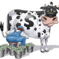 cash-cow