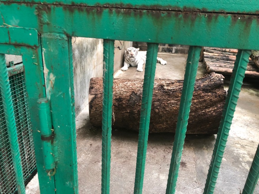 Hy+gb3+qSBCnxMQBBjIrqA